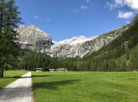 Green valley in the mountains
