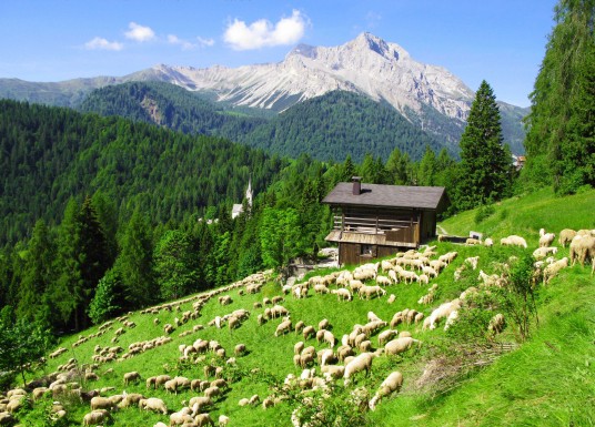 Albergo Diffuso Sauris