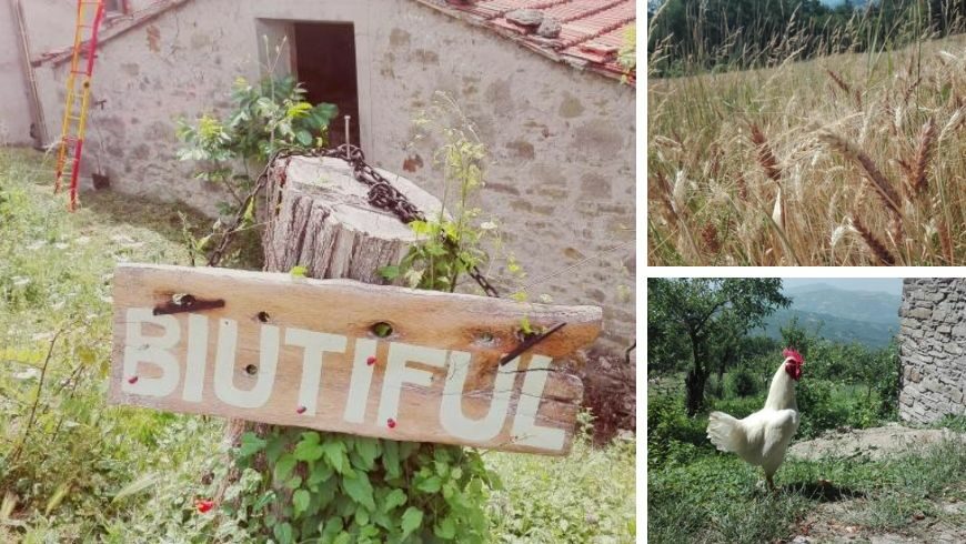 B&B Biutiful